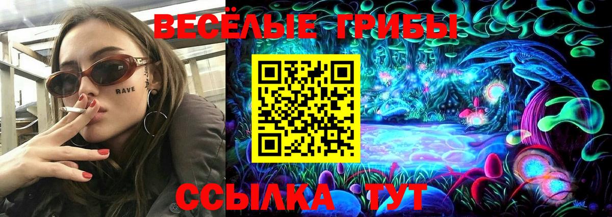 Рязань  Псилоцибиновые грибы Magic Shrooms  Вход с VPN 